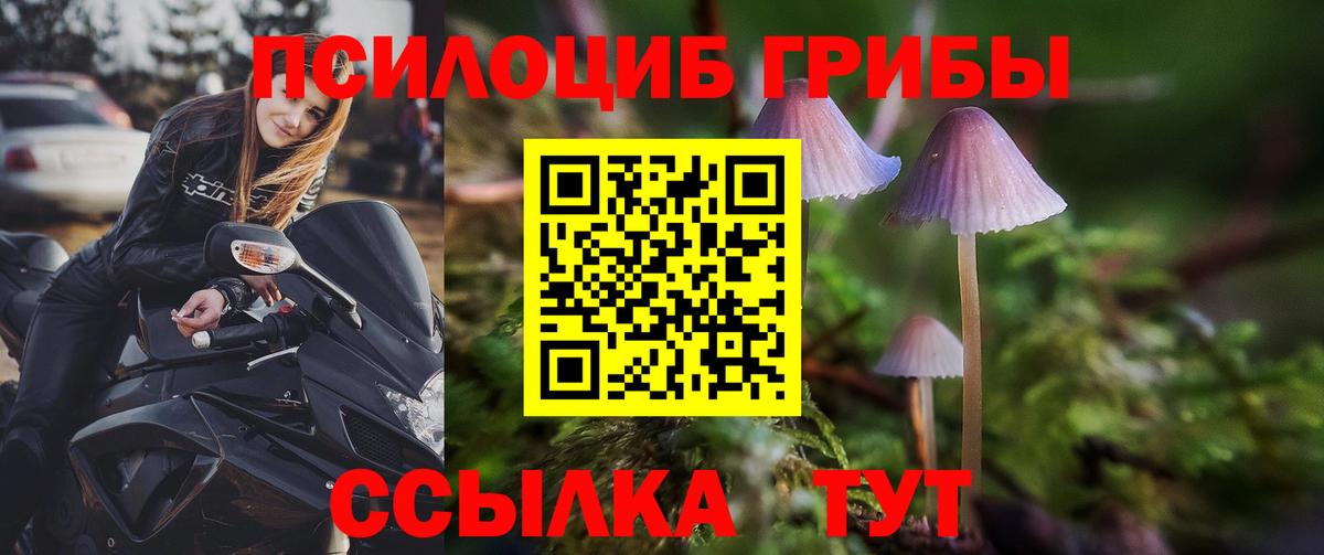 Артём  Псилоцибиновые грибы мухоморы  Галлюциногенные грибы GOLDEN TEACHER  Вход с VPN 